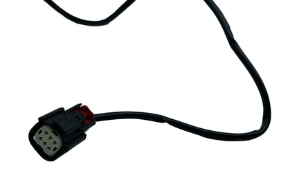 HARNESS GM 2020 - CURRENT