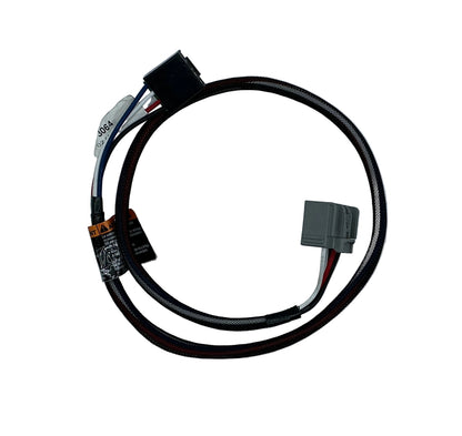 HARNESS 2019 GM