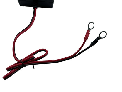 BRIGHTWAY 12V 5.0 AMP BATTERY CHARGER